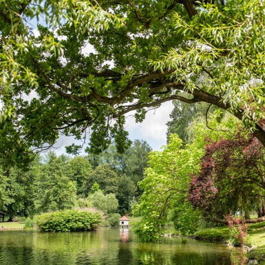 Landschaftsaufnahme Elisabethpark mit Teich, Entenhaus und Bäumen