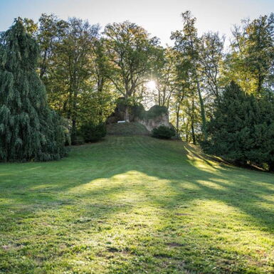 Landschaftsaufnahme mit Blick auf den Bonifatiusfelsen im Schlosspark Altenstein