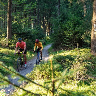 Zwei Radfahrer mit Gravelbike auf einem Trail am Rennsteig im Thüringer Wald
