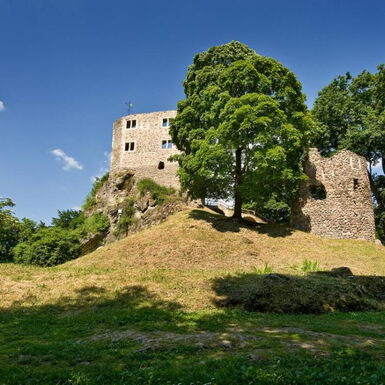 Landschaftsaufnahme mit Blick auf die Burgruine