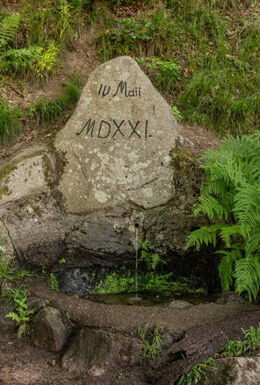 Lutherborn am Lutherdenkmal im Glasbachgrund