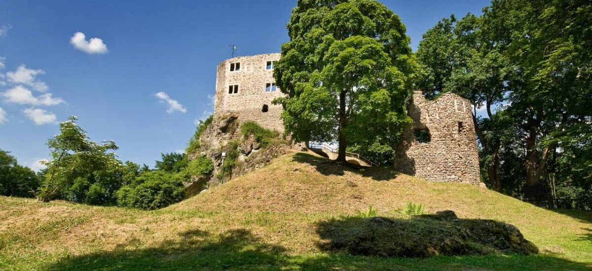 Landschaftsaufnahme mit Blick auf die Burgruine